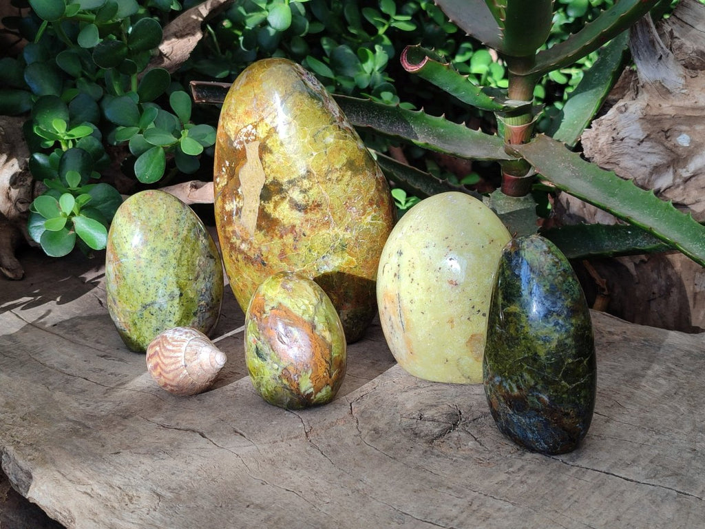 Polished Green Opal Standing Free Forms x 5 From Betroka, Madagascar - Toprock Gemstones and Minerals 
