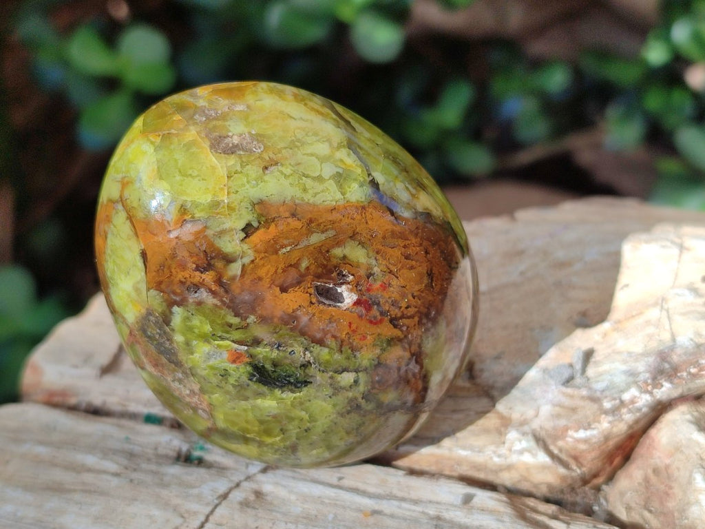 Polished Green Opal Standing Free Forms x 5 From Betroka, Madagascar - Toprock Gemstones and Minerals 