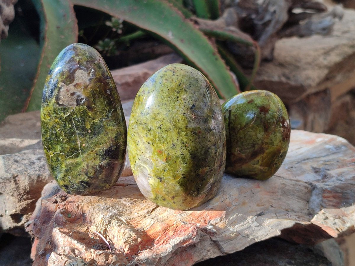 Polished Green Opal Standing Free Forms x 5 From Betroka, Madagascar - Toprock Gemstones and Minerals 