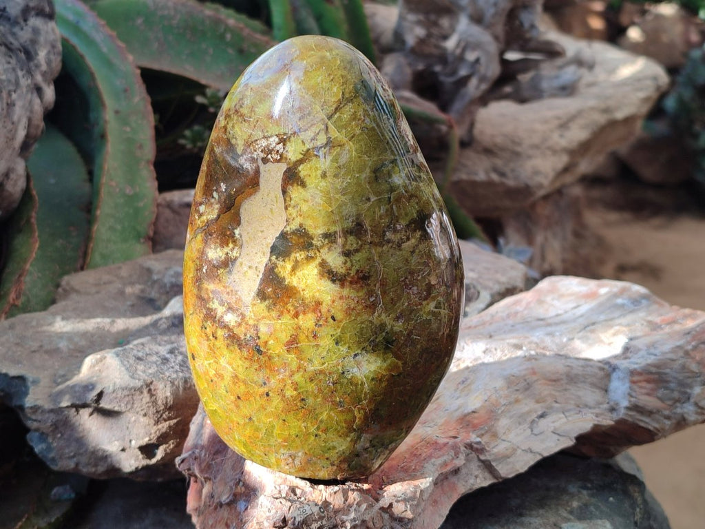 Polished Green Opal Standing Free Forms x 5 From Betroka, Madagascar - Toprock Gemstones and Minerals 