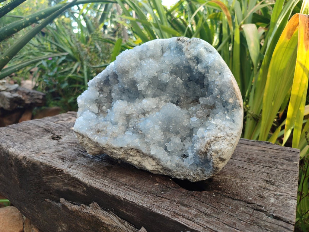 Natural XL Blue Celestite Cluster Specimen x 1 From Sakoany, Madagascar - Toprock Gemstones and Minerals 