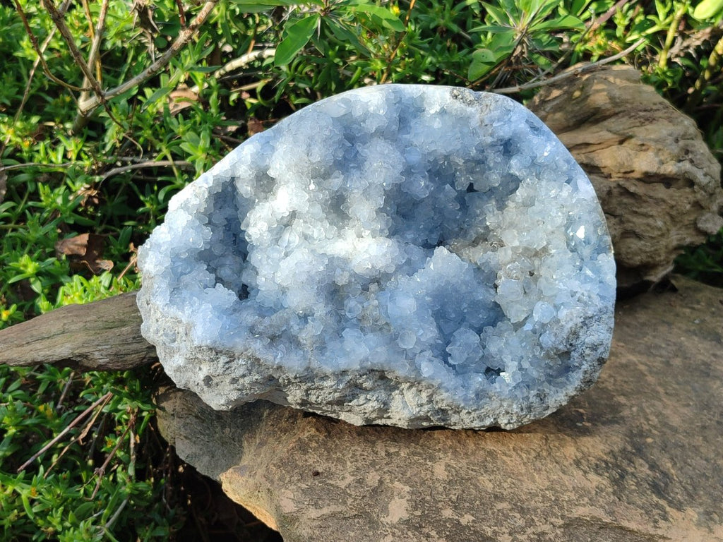 Natural XL Blue Celestite Cluster Specimen x 1 From Sakoany, Madagascar - Toprock Gemstones and Minerals 