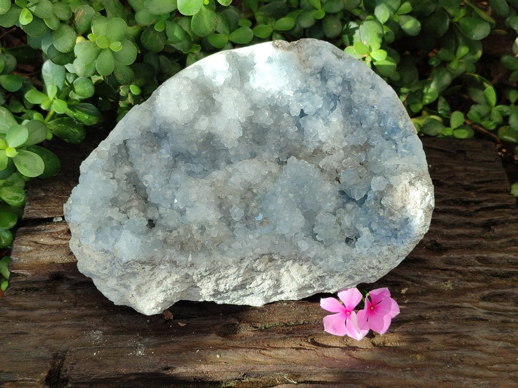 Natural XL Blue Celestite Cluster Specimen x 1 From Sakoany, Madagascar - Toprock Gemstones and Minerals 