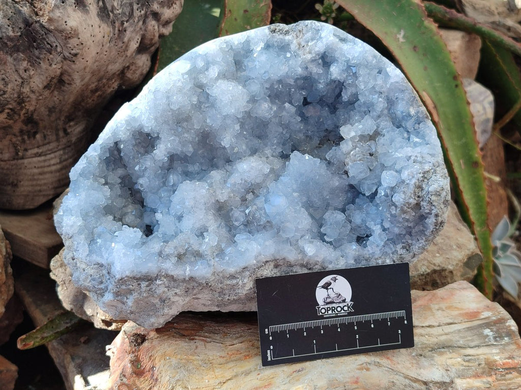 Natural XL Blue Celestite Cluster Specimen x 1 From Sakoany, Madagascar - Toprock Gemstones and Minerals 