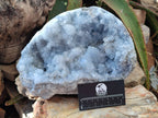 Natural XL Blue Celestite Cluster Specimen x 1 From Sakoany, Madagascar - Toprock Gemstones and Minerals 