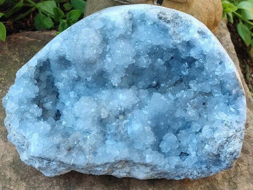 Natural XL Blue Celestite Cluster Specimen x 1 From Sakoany, Madagascar - Toprock Gemstones and Minerals 
