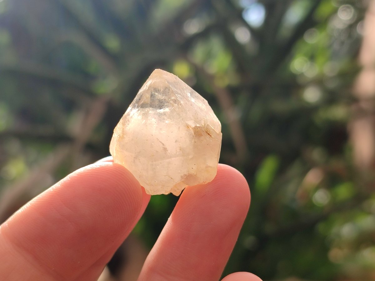Natural White Spirit Quartz Crystals x 70 From Boekenhouthoek, South Africa - Toprock Gemstones and Minerals 