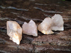 Natural White Spirit Quartz Crystals x 70 From Boekenhouthoek, South Africa - Toprock Gemstones and Minerals 