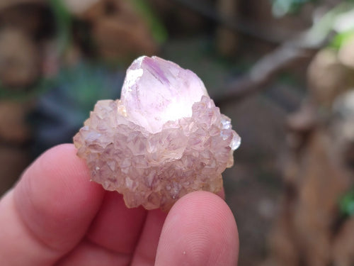 Natural White Spirit Quartz Crystals x 70 From Boekenhouthoek, South Africa - Toprock Gemstones and Minerals 