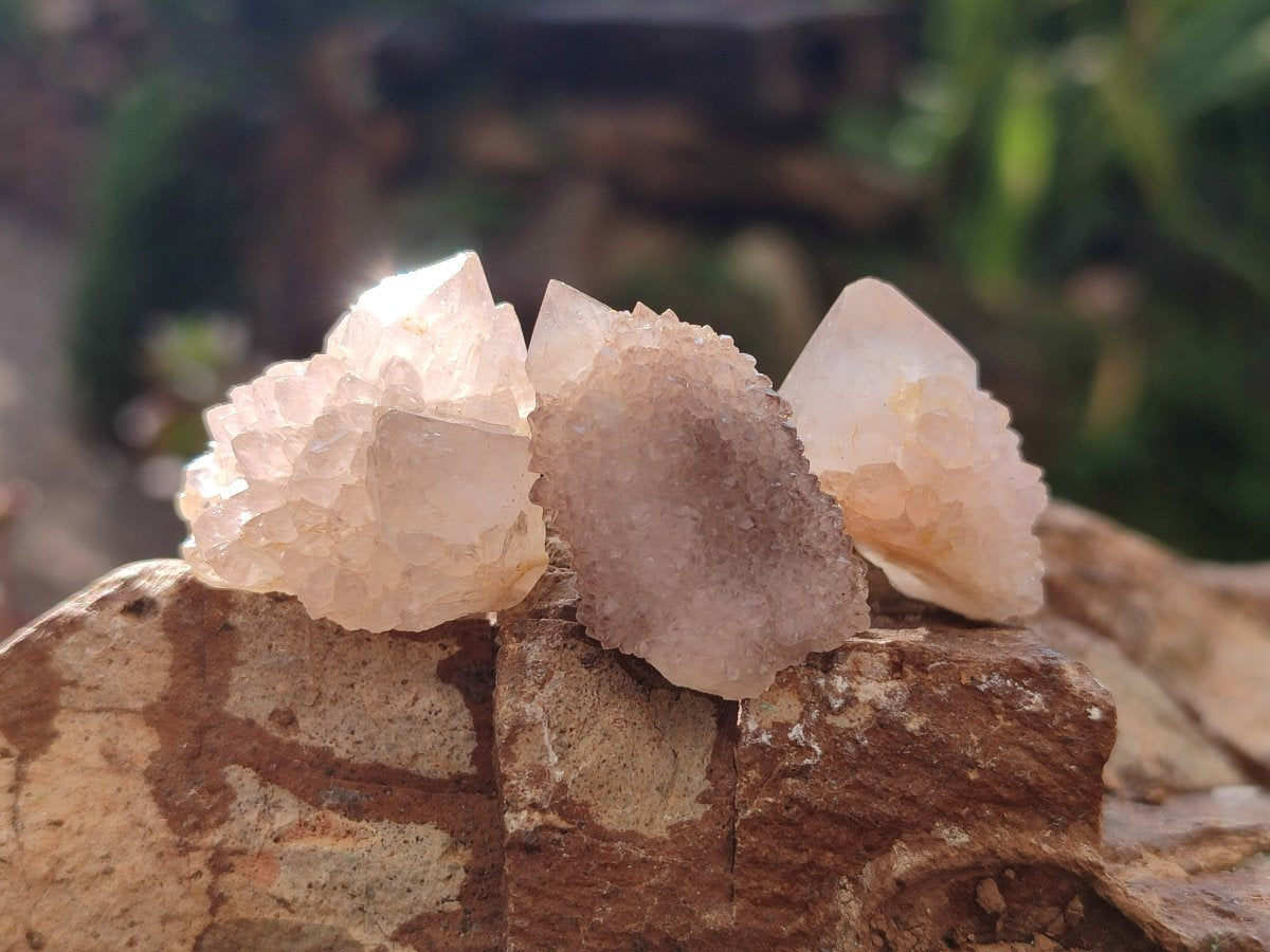 Natural White Spirit Quartz Crystals x 70 From Boekenhouthoek, South Africa - Toprock Gemstones and Minerals 