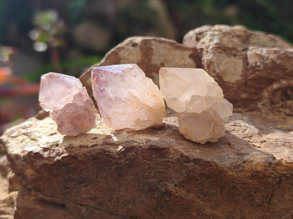 Natural White Spirit Quartz Crystals x 70 From Boekenhouthoek, South Africa - Toprock Gemstones and Minerals 