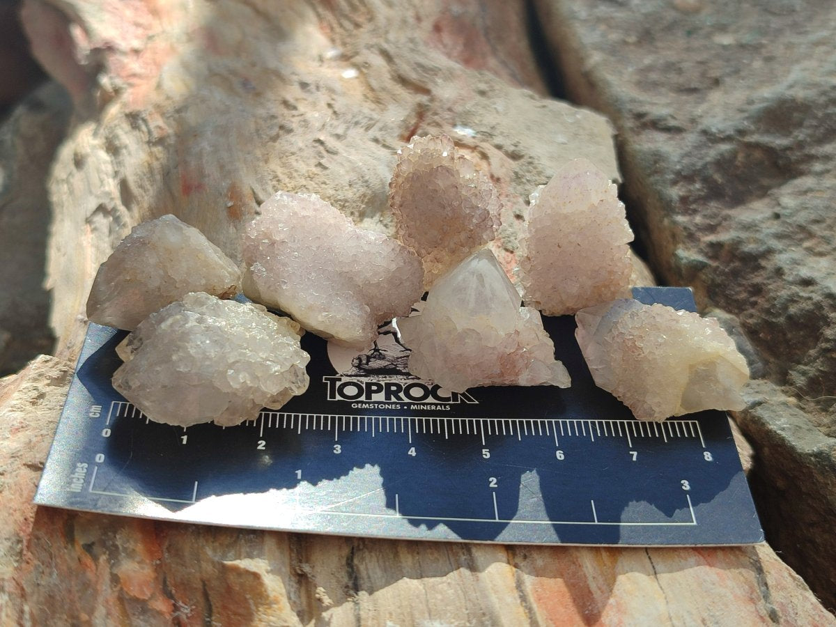 Natural White Spirit Quartz Crystals x 70 From Boekenhouthoek, South Africa - Toprock Gemstones and Minerals 