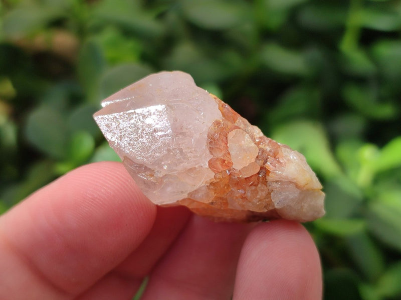 Natural White Spirit Quartz Crystals x 70 From Boekenhouthoek, South Africa - Toprock Gemstones and Minerals 