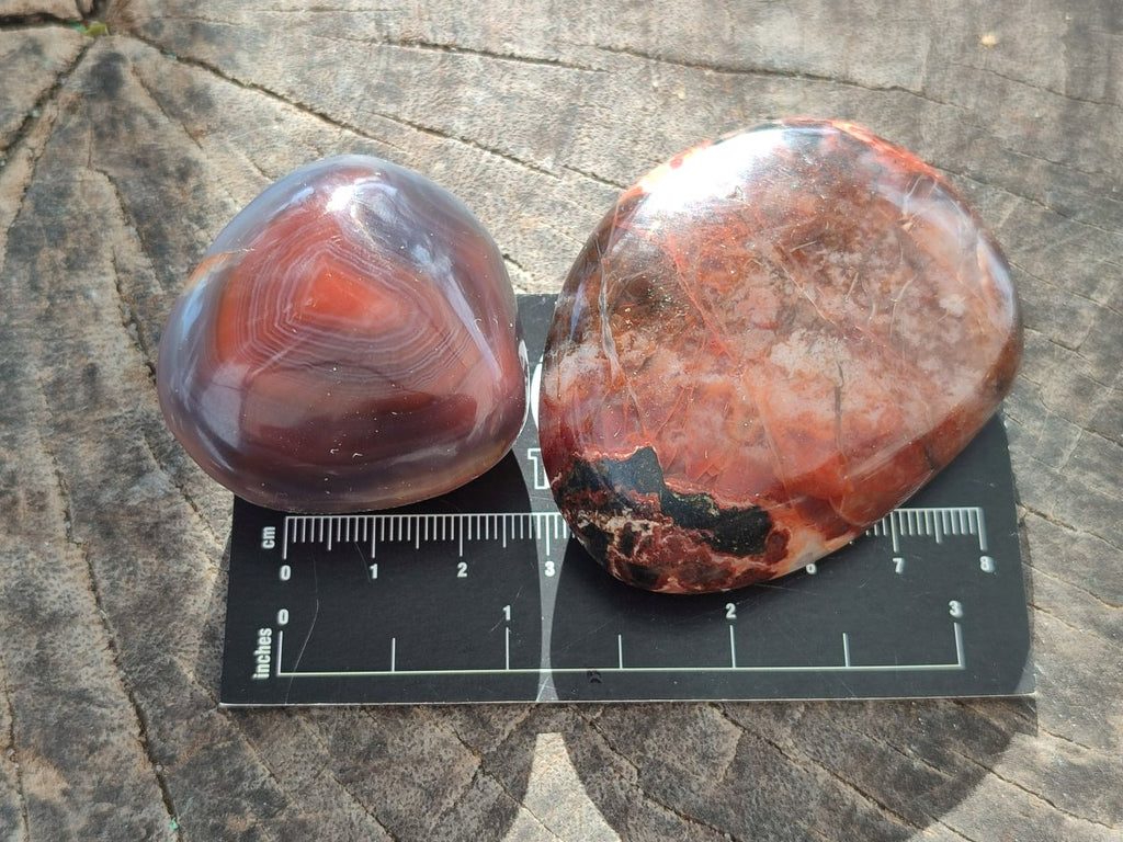 Polished Red Shashe River Agate Free Forms x 24 From Shashe River, Zimbabwe - Toprock Gemstones and Minerals 