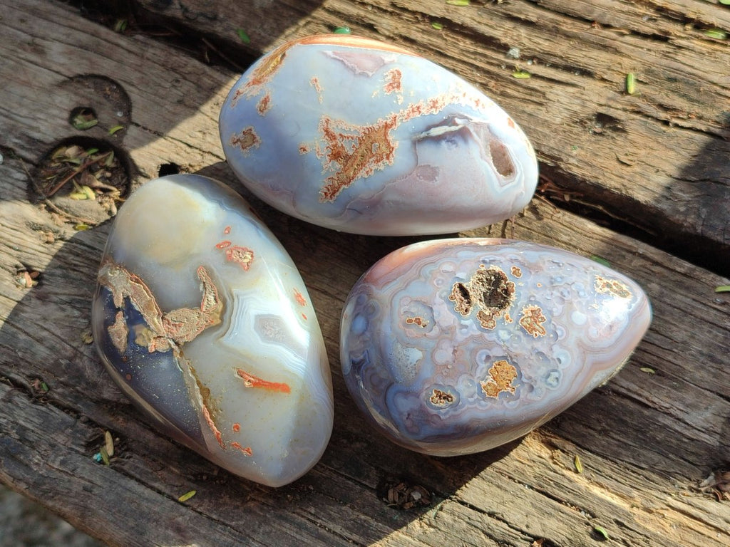 Polished Red Shashe River Agate Free Forms x 24 From Shashe River, Zimbabwe - Toprock Gemstones and Minerals 