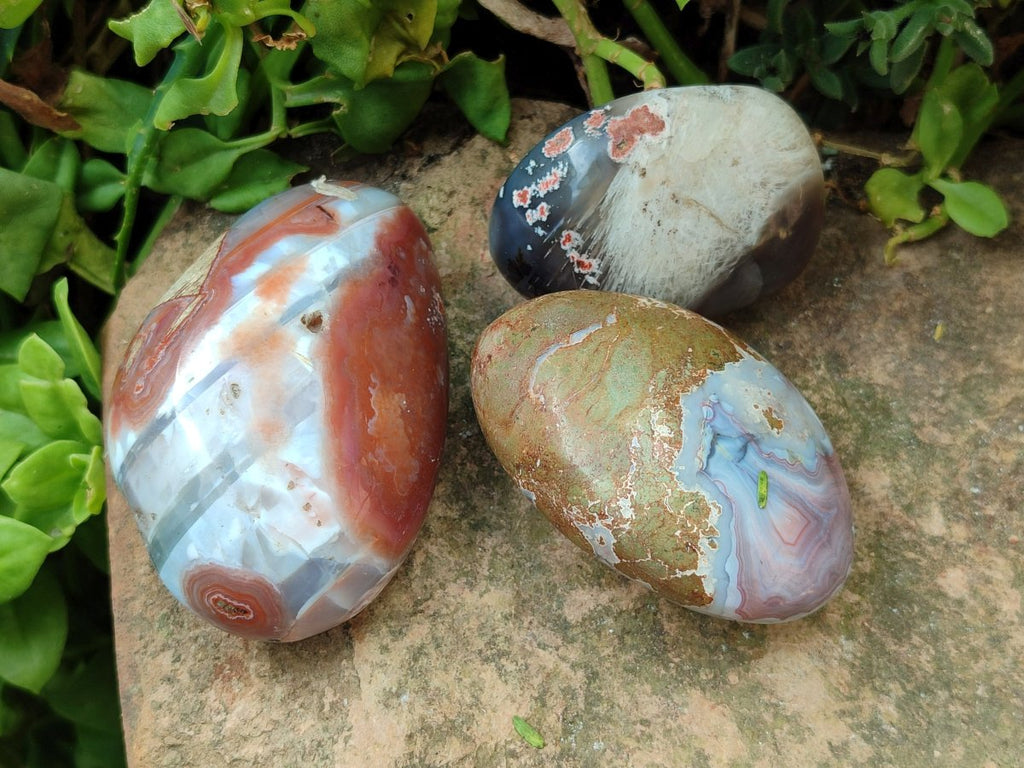 Polished Red Shashe River Agate Free Forms x 24 From Shashe River, Zimbabwe - Toprock Gemstones and Minerals 