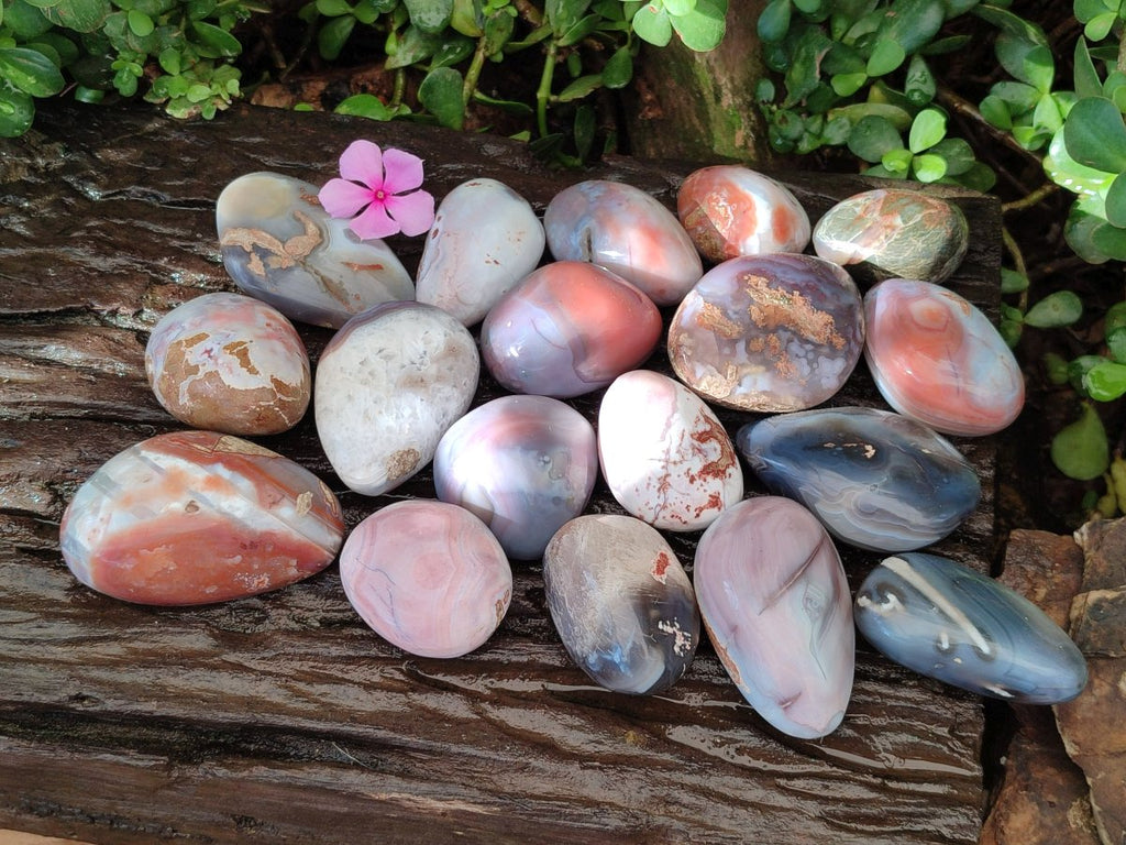 Polished Red Shashe River Agate Free Forms x 24 From Shashe River, Zimbabwe - Toprock Gemstones and Minerals 