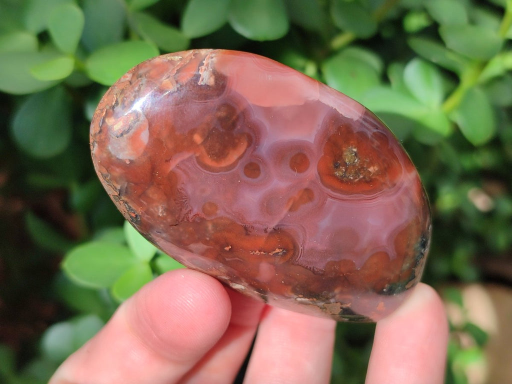 Polished Red Shashe River Agate Free Forms x 24 From Shashe River, Zimbabwe - Toprock Gemstones and Minerals 