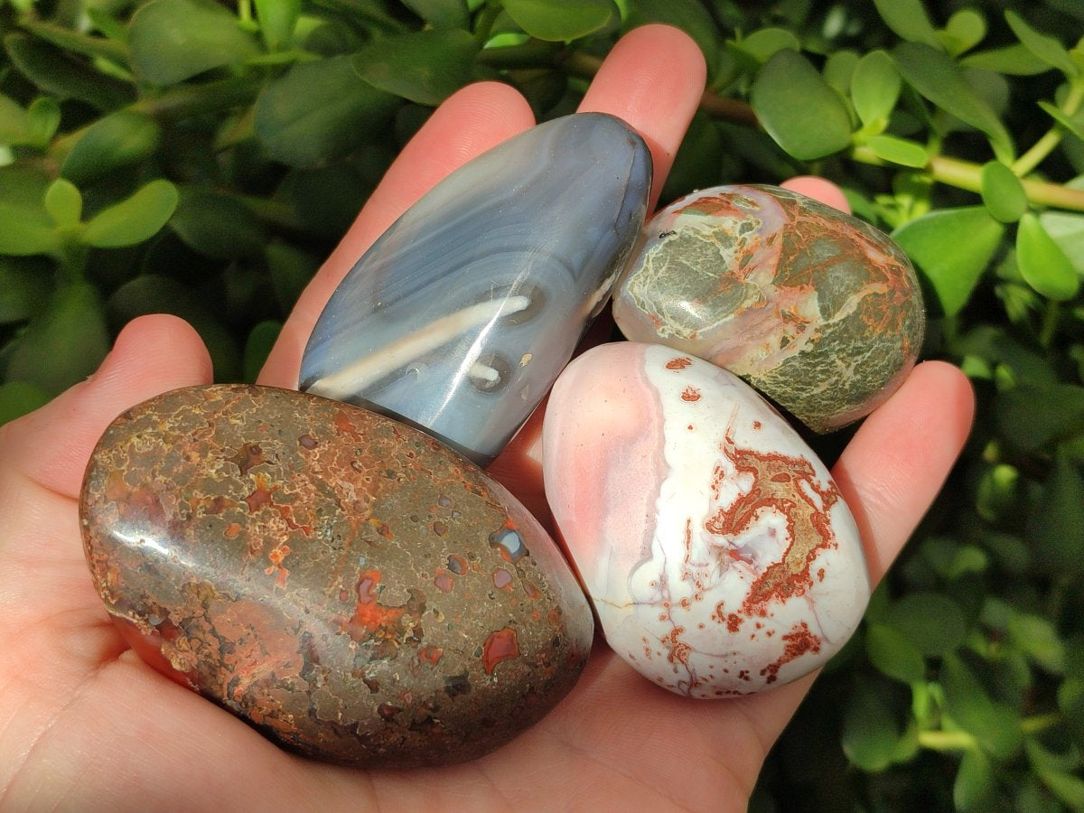 Polished Red Shashe River Agate Free Forms x 24 From Shashe River, Zimbabwe - Toprock Gemstones and Minerals 