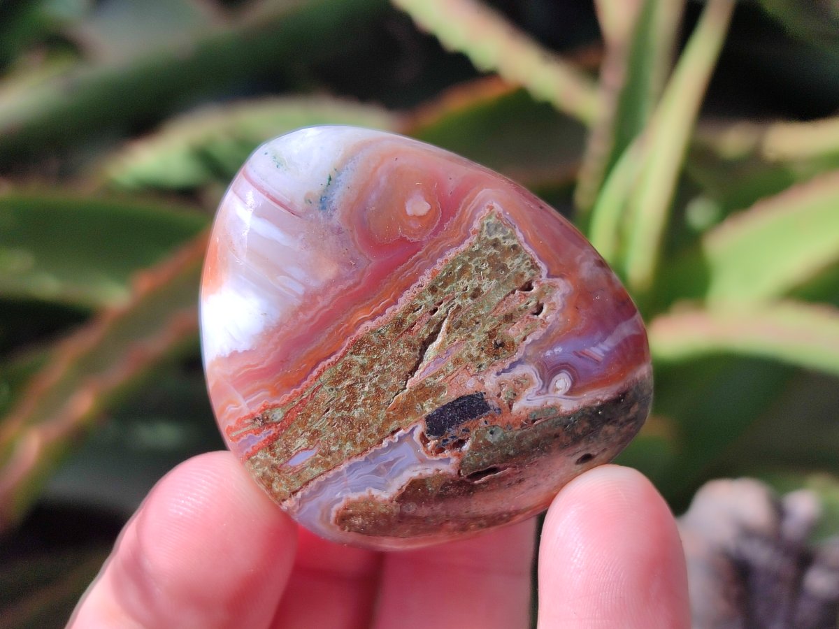 Polished Red Shashe River Agate Free Forms x 24 From Shashe River, Zimbabwe - Toprock Gemstones and Minerals 