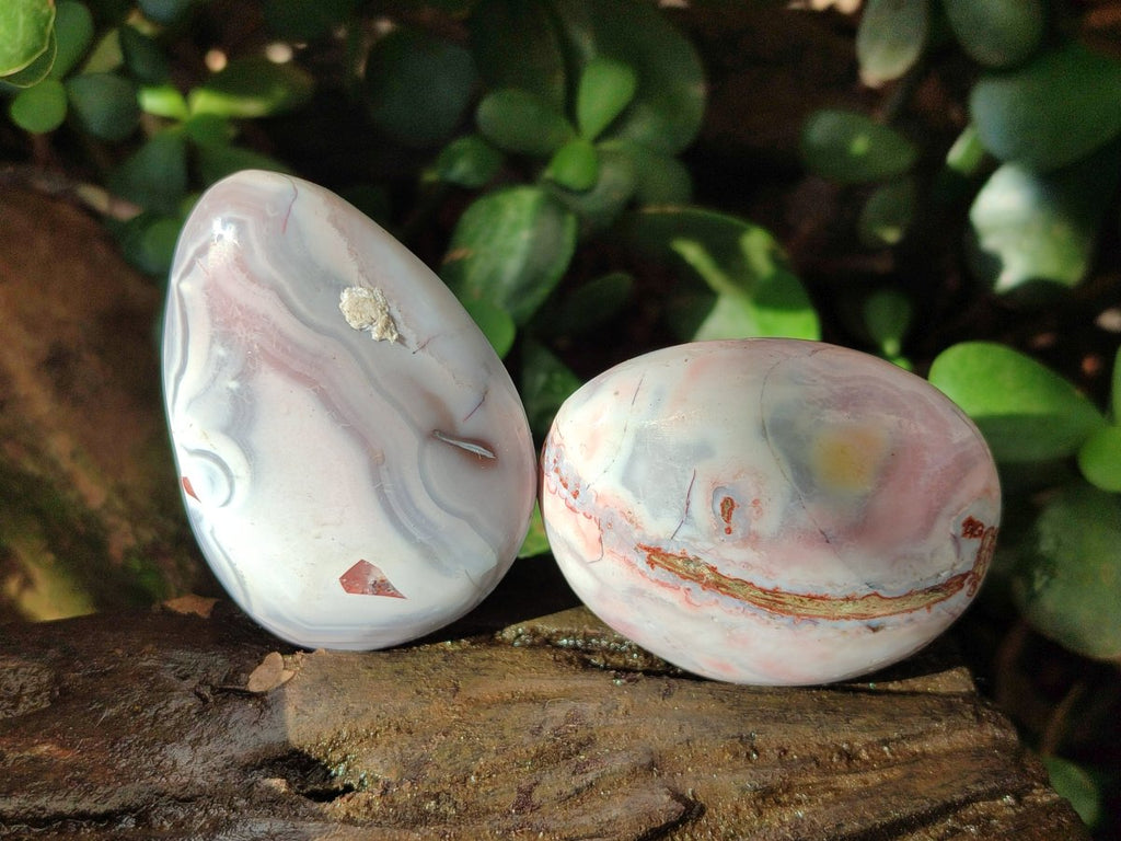 Polished Red Shashe River Agate Free Forms x 24 From Shashe River, Zimbabwe - Toprock Gemstones and Minerals 