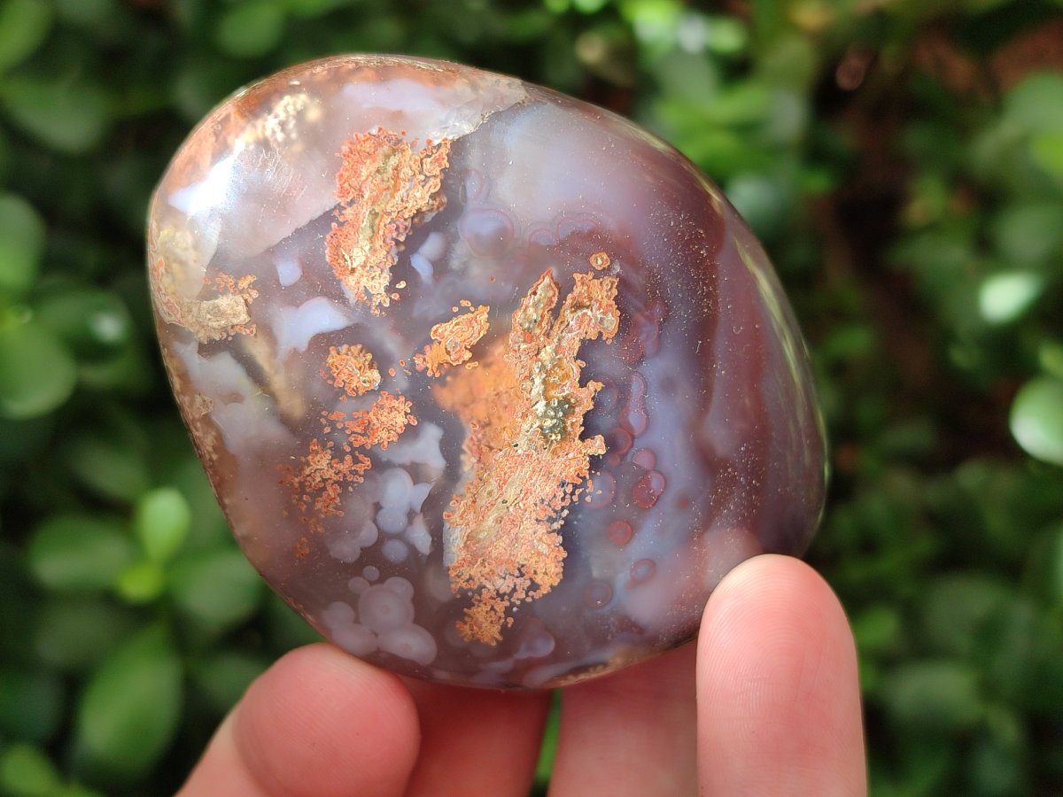 Polished Red Shashe River Agate Free Forms x 24 From Shashe River, Zimbabwe - Toprock Gemstones and Minerals 