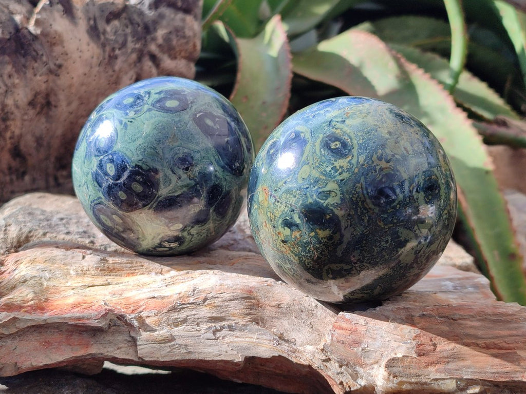 Polished Stromatolite Spheres x 4 From Katsepy, Madagascar - Toprock Gemstones and Minerals 