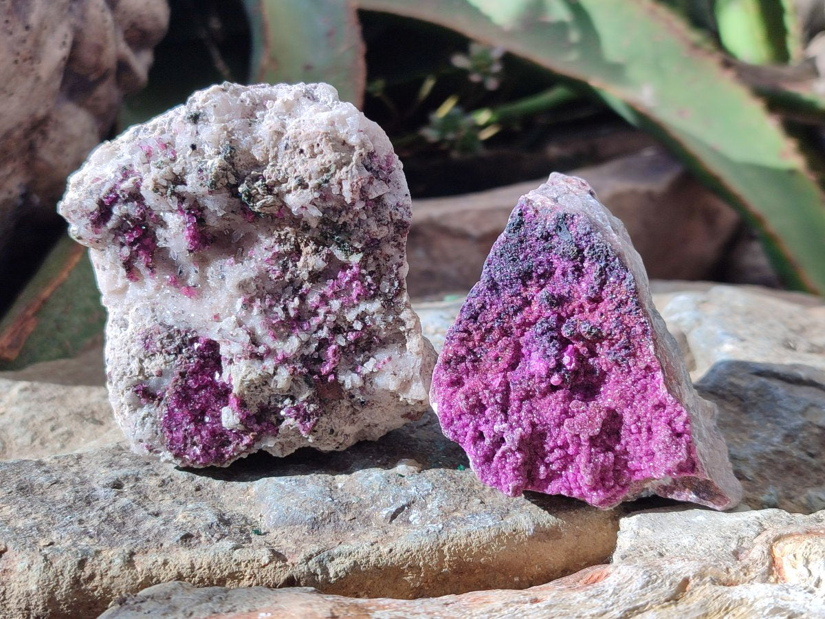 Natural Salrose Cobaltoan Dolomite Specimens x 6 From Kakanda, Congo - Toprock Gemstones and Minerals 