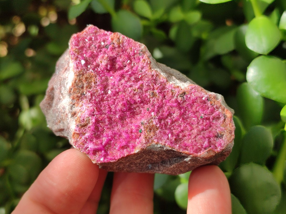 Natural Salrose Cobaltoan Dolomite Specimens x 6 From Kakanda, Congo - Toprock Gemstones and Minerals 