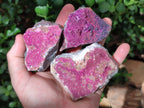 Natural Salrose Cobaltoan Dolomite Specimens x 6 From Kakanda, Congo - Toprock Gemstones and Minerals 