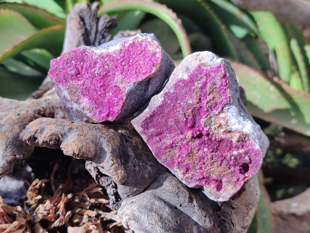 Natural Salrose Cobaltoan Dolomite Specimens x 6 From Kakanda, Congo - Toprock Gemstones and Minerals 