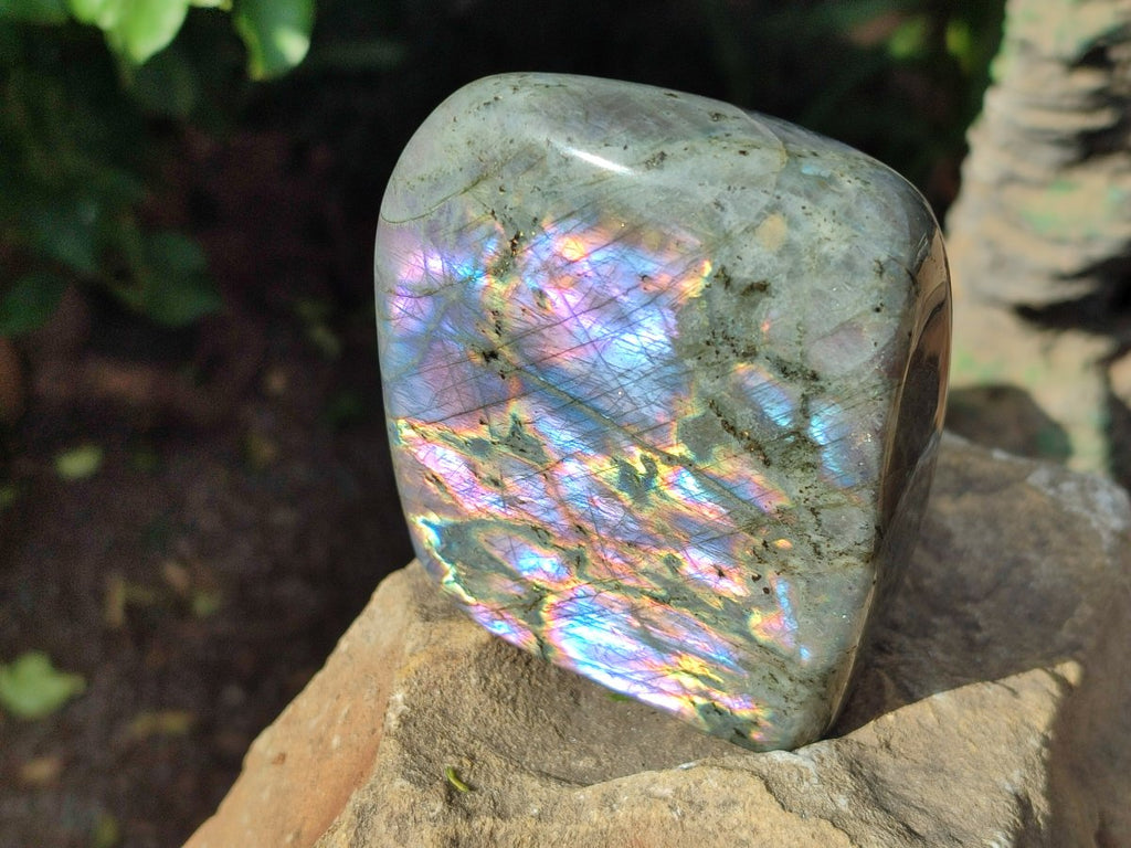 Polished Rare Purple Sunset Flash Labradorite Standing Free Forms x 3 From Madagascar - Toprock Gemstones and Minerals 