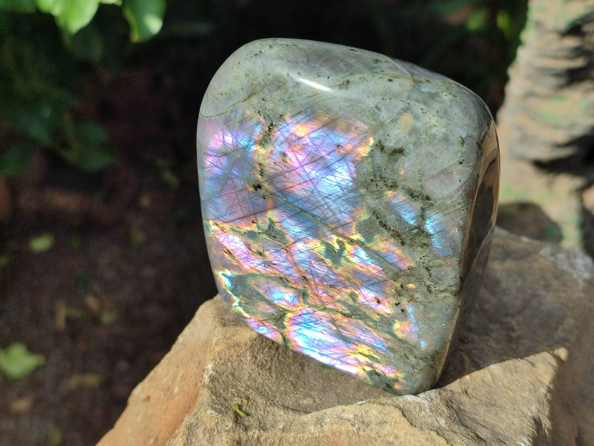 Polished Rare Purple Sunset Flash Labradorite Standing Free Forms x 3 From Madagascar - Toprock Gemstones and Minerals 