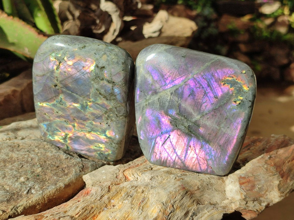 Polished Rare Purple Sunset Flash Labradorite Standing Free Forms x 3 From Madagascar - Toprock Gemstones and Minerals 