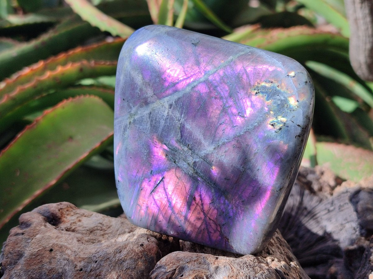 Polished Rare Purple Sunset Flash Labradorite Standing Free Forms x 3 From Madagascar - Toprock Gemstones and Minerals 