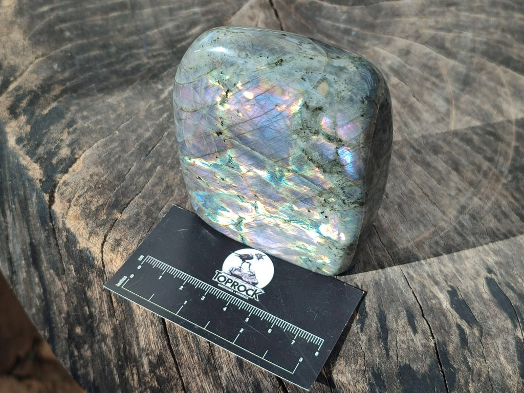 Polished Rare Purple Sunset Flash Labradorite Standing Free Forms x 3 From Madagascar - Toprock Gemstones and Minerals 
