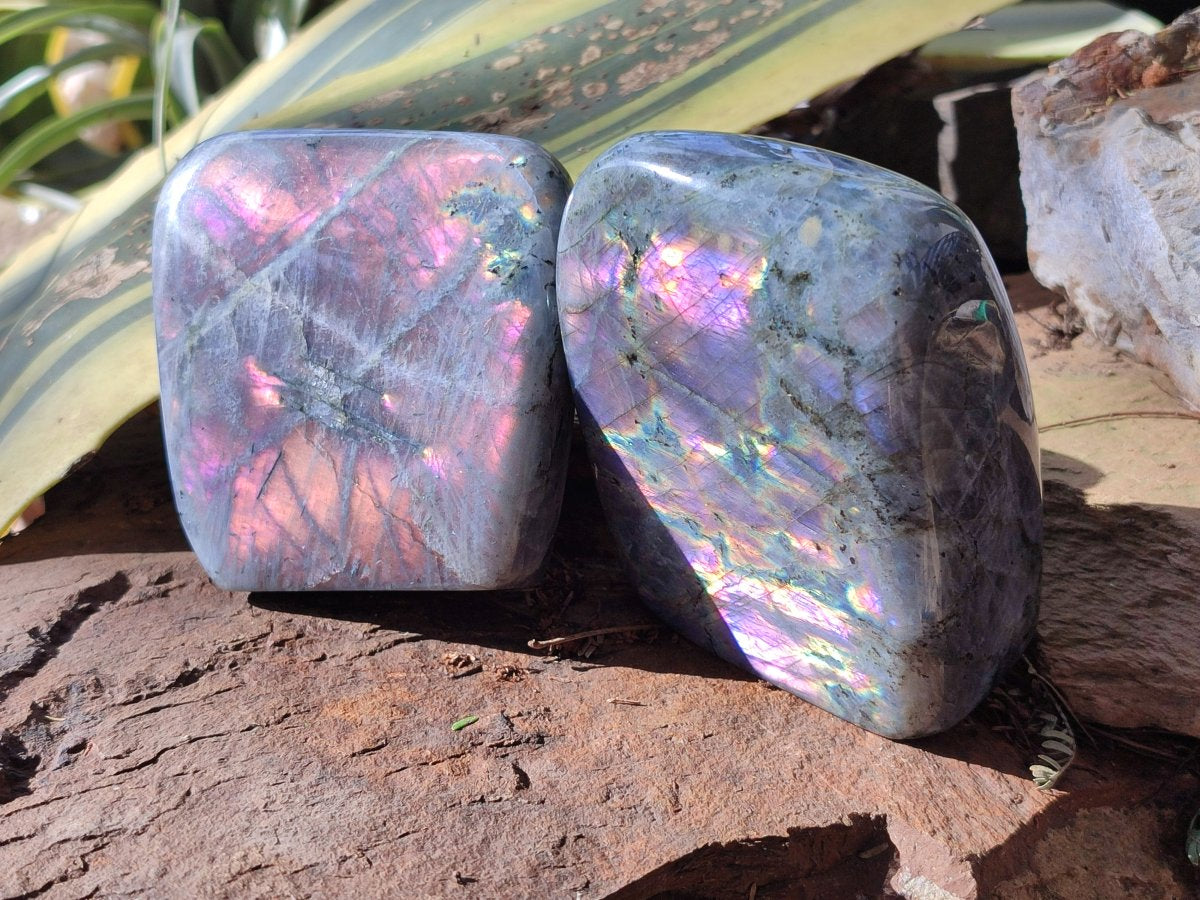 Polished Rare Purple Sunset Flash Labradorite Standing Free Forms x 3 From Madagascar - Toprock Gemstones and Minerals 