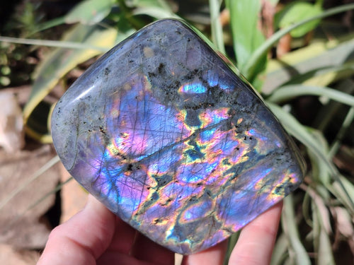 Polished Rare Purple Sunset Flash Labradorite Standing Free Forms x 3 From Madagascar - Toprock Gemstones and Minerals 
