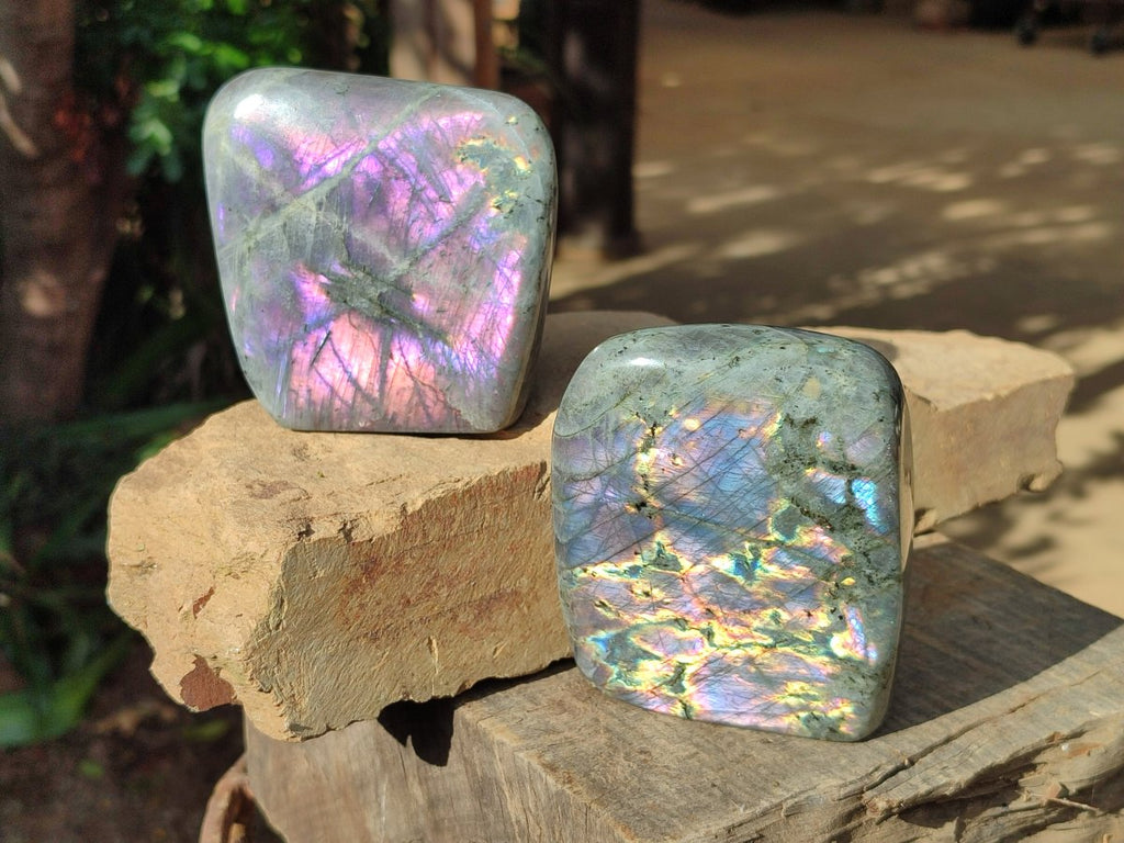 Polished Rare Purple Sunset Flash Labradorite Standing Free Forms x 3 From Madagascar - Toprock Gemstones and Minerals 