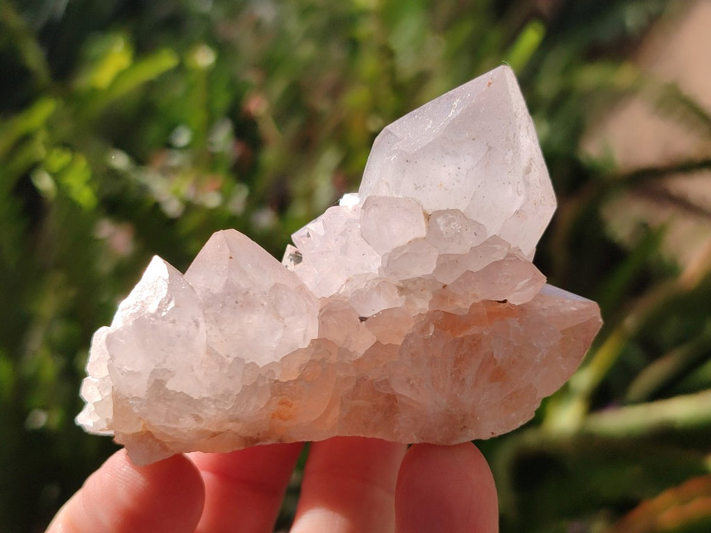 Natural Lilac Amethyst Spirit Quartz Clusters x 12 From Boekenhouthoek, South Africa - Toprock Gemstones and Minerals 