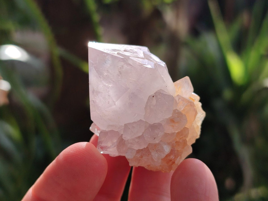 Natural Lilac Amethyst Spirit Quartz Clusters x 12 From Boekenhouthoek, South Africa - Toprock Gemstones and Minerals 