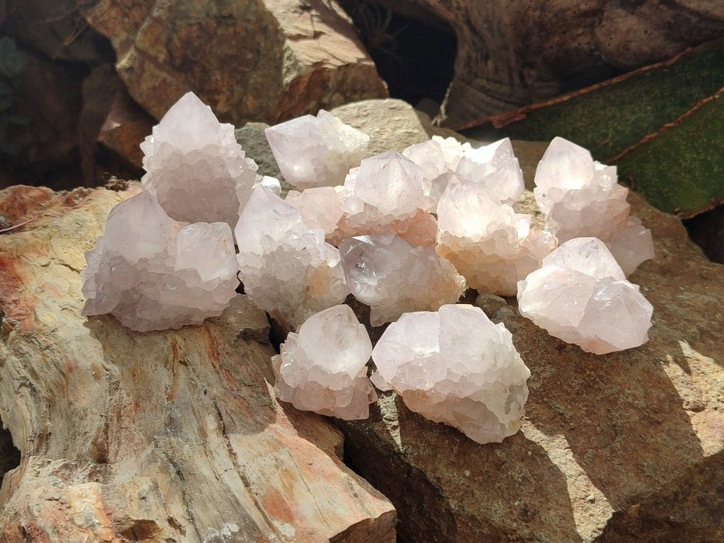 Natural Lilac Amethyst Spirit Quartz Clusters x 12 From Boekenhouthoek, South Africa - Toprock Gemstones and Minerals 