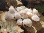 Natural Lilac Amethyst Spirit Quartz Clusters x 12 From Boekenhouthoek, South Africa - Toprock Gemstones and Minerals 