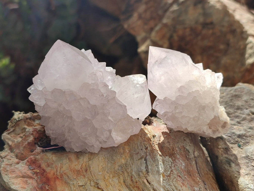 Natural Lilac Amethyst Spirit Quartz Clusters x 12 From Boekenhouthoek, South Africa - Toprock Gemstones and Minerals 