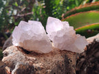 Natural Lilac Amethyst Spirit Quartz Clusters x 12 From Boekenhouthoek, South Africa - Toprock Gemstones and Minerals 