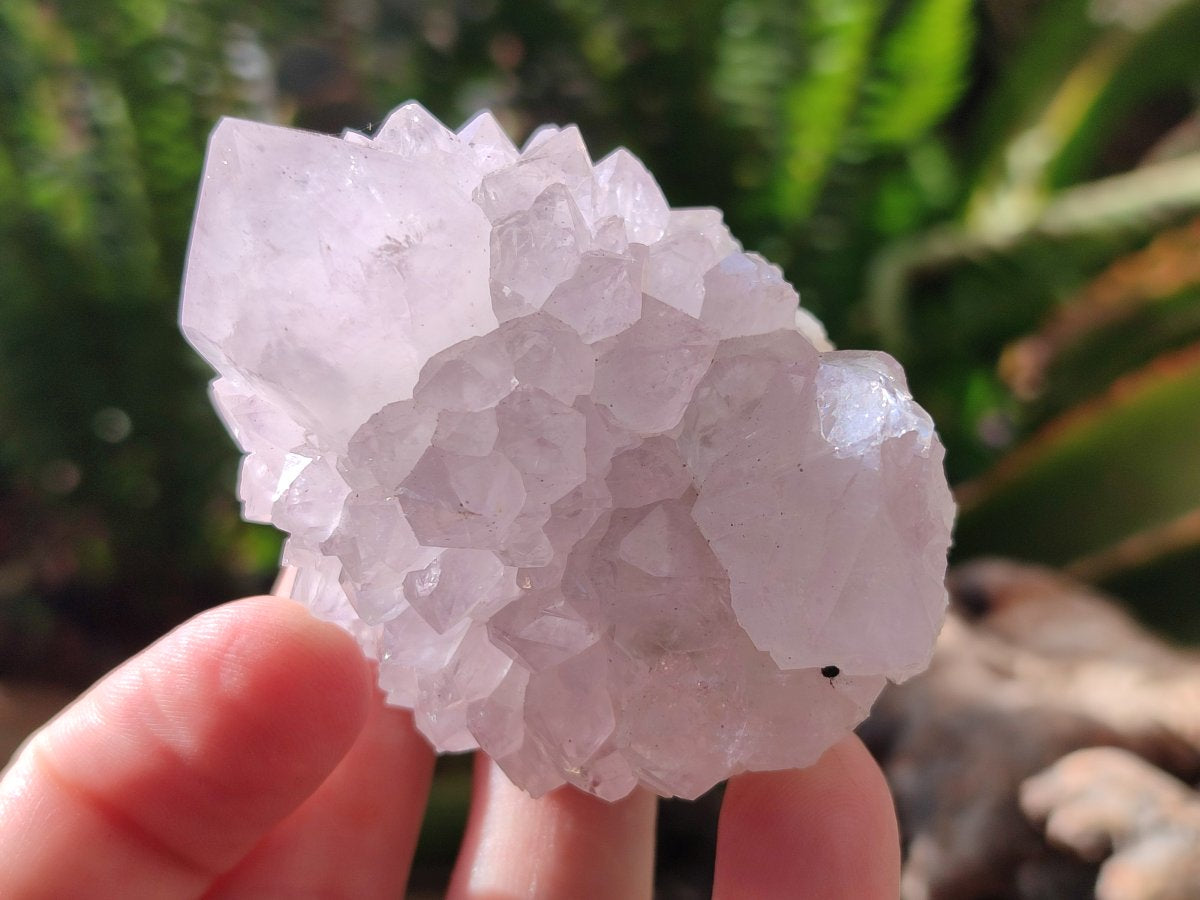 Natural Lilac Amethyst Spirit Quartz Clusters x 12 From Boekenhouthoek, South Africa - Toprock Gemstones and Minerals 