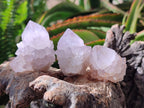 Natural Lilac Amethyst Spirit Quartz Clusters x 12 From Boekenhouthoek, South Africa - Toprock Gemstones and Minerals 