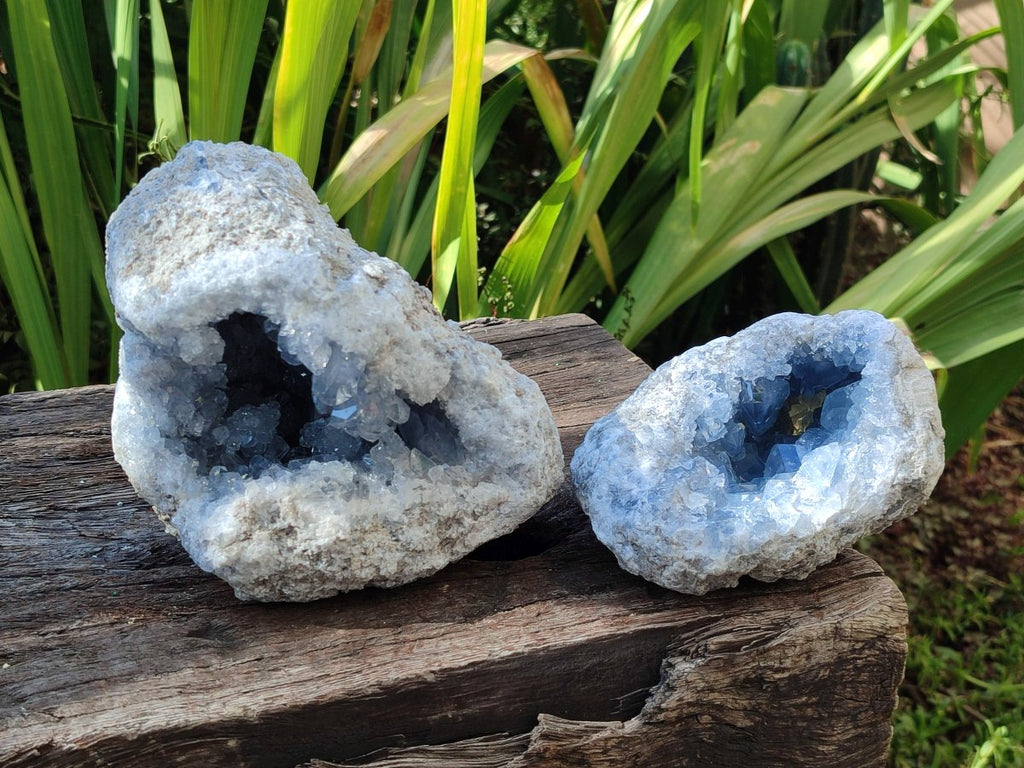 Natural Blue Celestite Geode Specimens x 2 From Sakoany, Madagascar - Toprock Gemstones and Minerals 