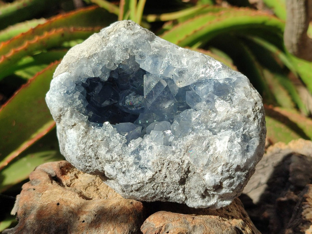 Natural Blue Celestite Geode Specimens x 2 From Sakoany, Madagascar - Toprock Gemstones and Minerals 