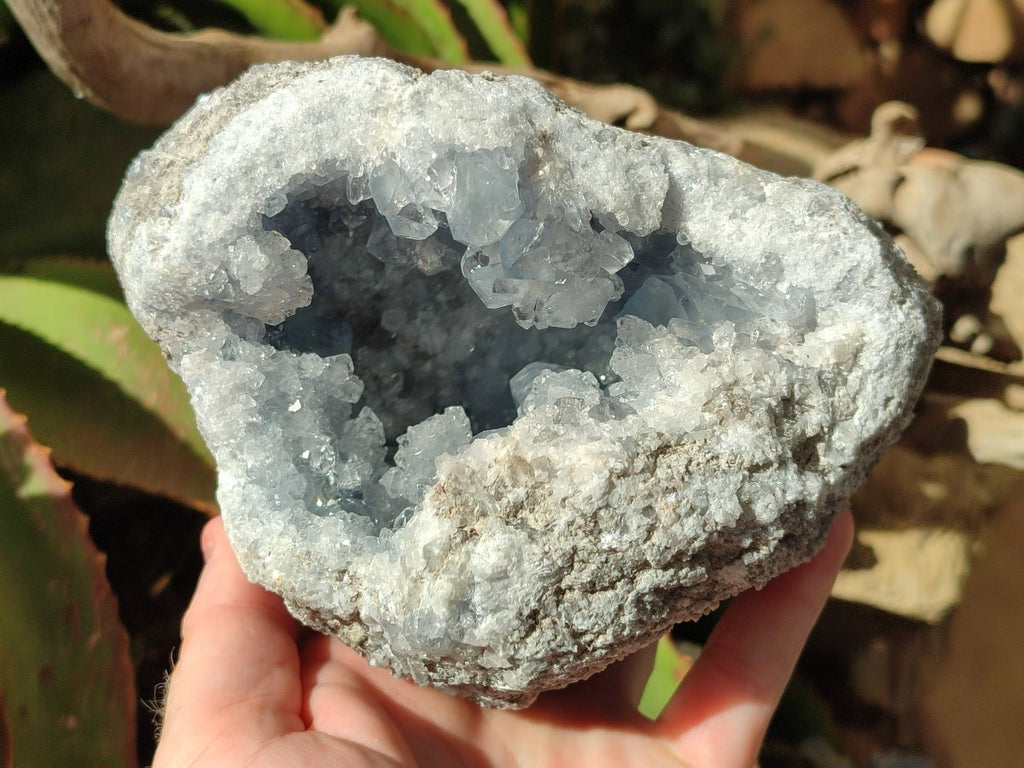 Natural Blue Celestite Geode Specimens x 2 From Sakoany, Madagascar - Toprock Gemstones and Minerals 